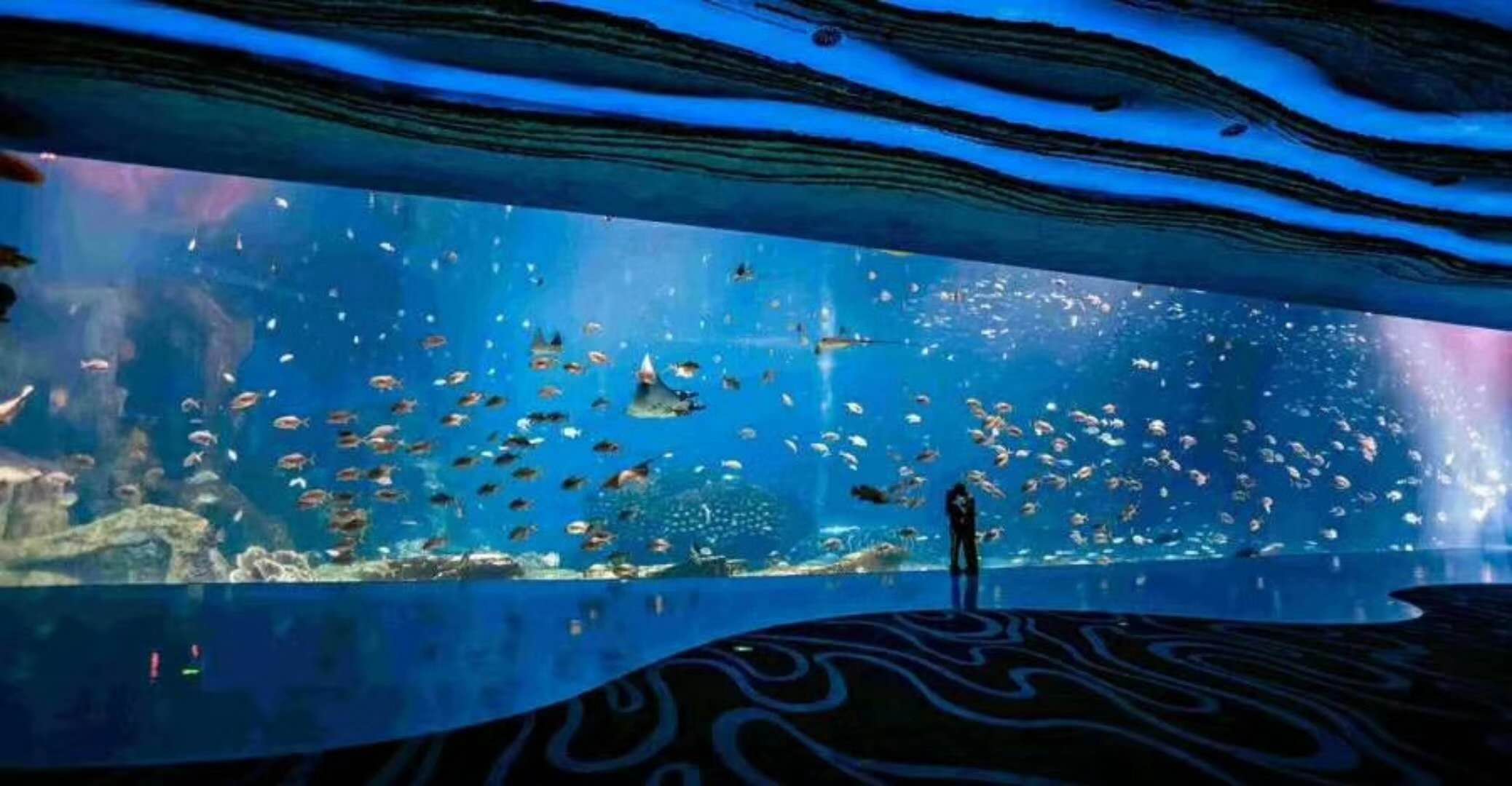 海洋館水族館生物養(yǎng)殖用水臭氧殺菌，滅藻